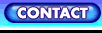 Email, Phone, Mailing Address